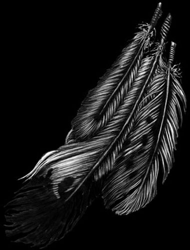 feathers