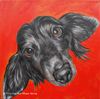 simpn portrait